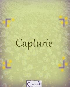 capturie couverture 3
