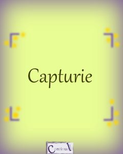 capturie logo principal 1
