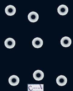 motif 4 la confidence noctune