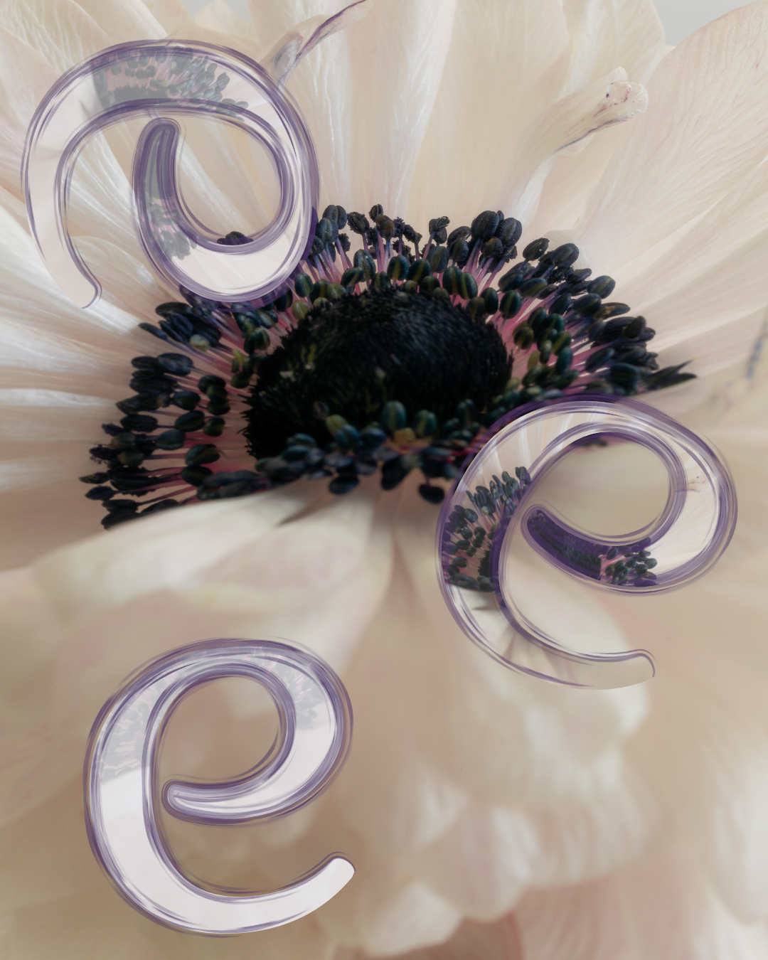 Une marque solide commence par la connaissance de soi