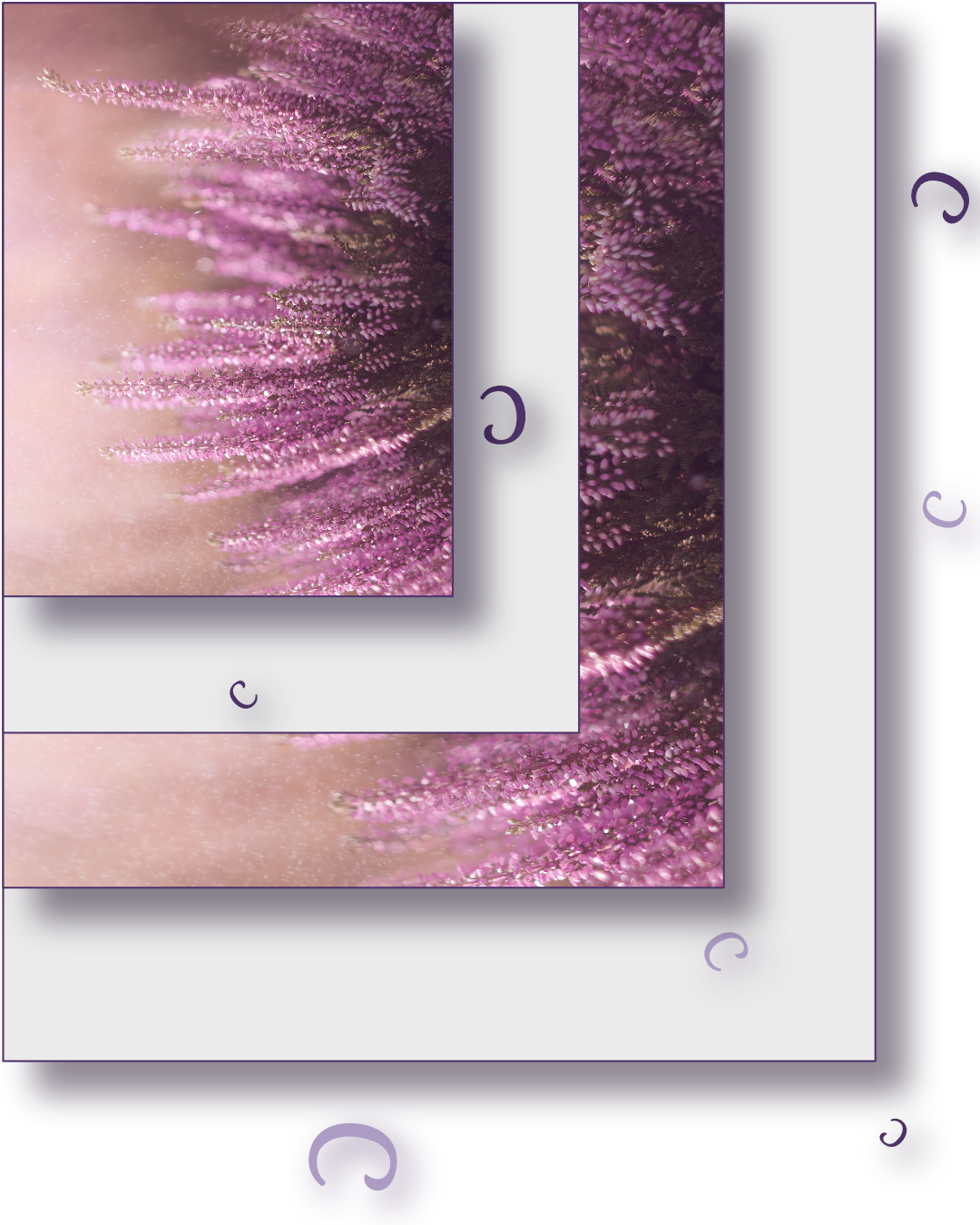 Les réseaux sociaux: chaque bruit construit le monde que nous habitons