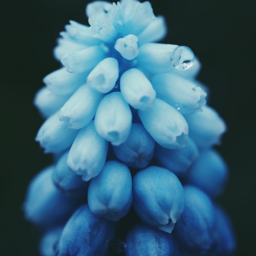 Processed with VSCO with p4 preset